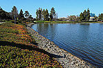 Thumbnail for Redwood Shores, California