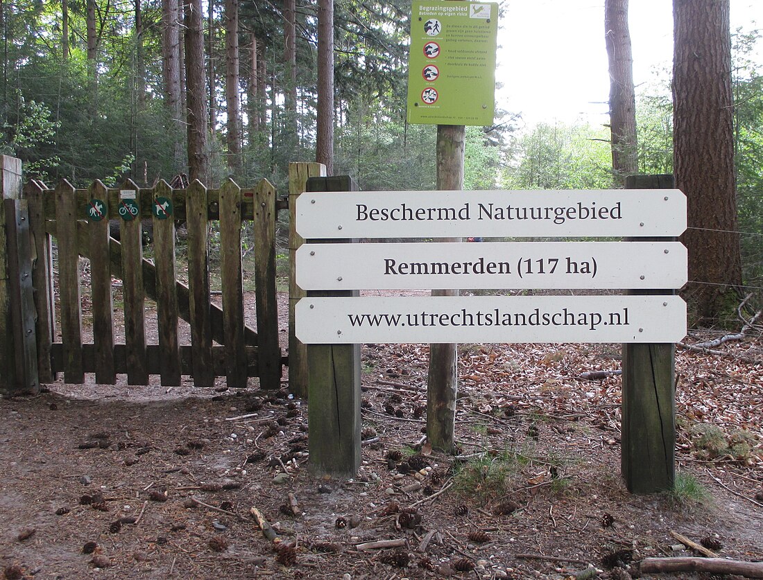 Remmerdense Heide