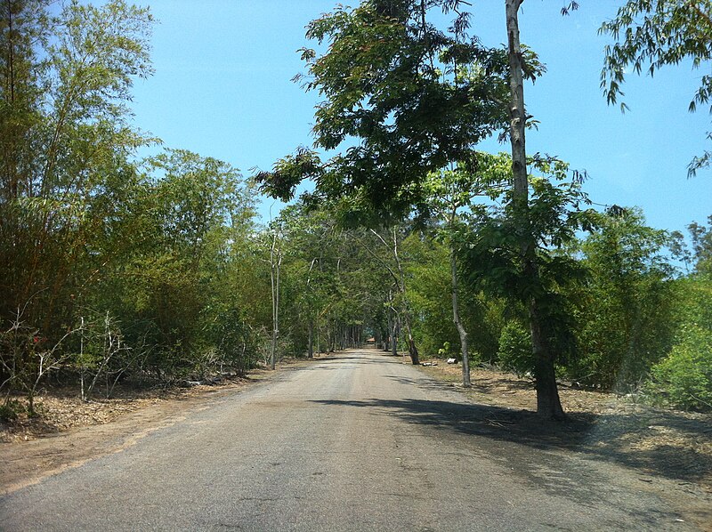 File:Road - panoramio (183).jpg