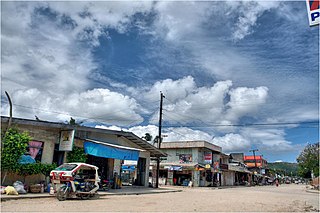 <span class="mw-page-title-main">Roxas, Palawan</span> Municipality in Palawan, Philippines