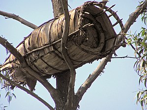 Traditioneller Bienenstock aus Holz und Bananenblättern in einem Baum in der Westprovinz von Ruanda