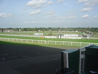 <span class="mw-page-title-main">Sandown Park Racecourse</span> Racecourse and leisure venue in Esher, Surrey