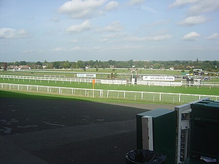 SandownParkWinningLine