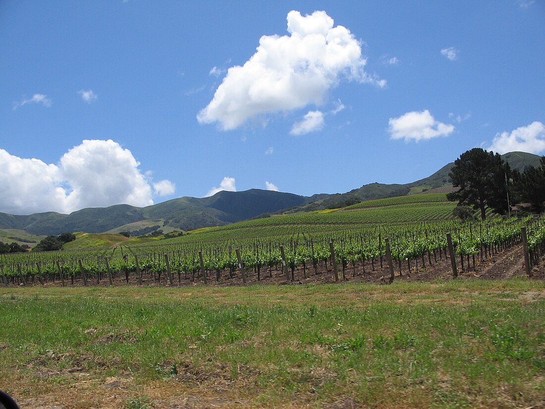 Santa Ynez Valley AVA