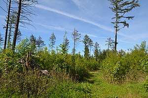 Schleswig-Holstein, Mildstedt, Naturerlebnisraum NIK 6652.jpg