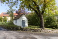 English: Building and Juglans regia Tree in, Michelbach, Schotten, Hessen, Germany