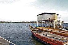 Lake Victoria Shores Shores of Lake Victoria, Habitat Uganda.jpg