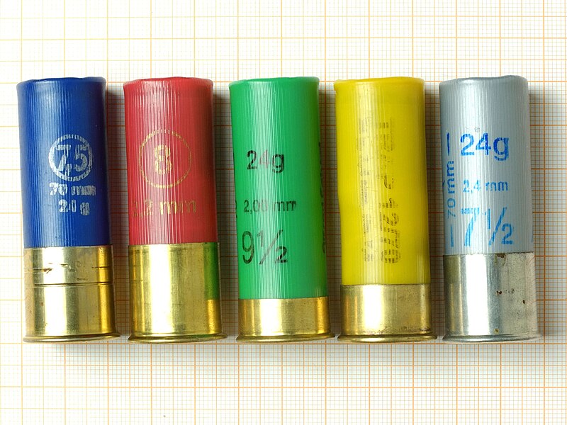 File:Shotgun Shells 12-70 Gauge CC BY-SA 4.0 by Grasyl Mk.2*.jpg