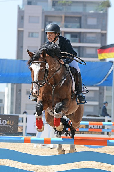 File:Show Jumping - horse jumping over hurdle with boy riding.jpg