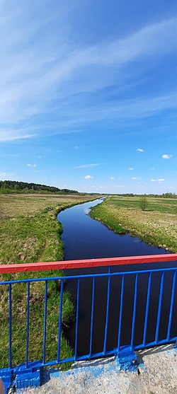 Siniaja river.jpg