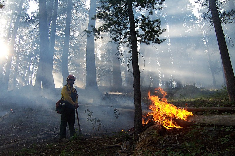 File:Slide wildfire used for resource benefit, Sequoia and Kings Canyon National Parks, 2002 (6fda2d6f-8442-4e6d-979a-4ccdffbad999).jpg