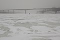 Solitude, loneliness in snow storm, Don River in ice, Rostov-on-Don, Russia.jpg