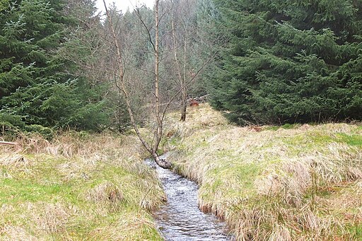 Soonhope Burn in Glentress Forest - geograph.org.uk - 3888337