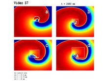 Dosya: Spiral-Wave-Dynamics-in-a-Mathematical-Model-of-Human-Ventricular-Tissue-with-Myocytes-and-pone.0072950.s008.ogv