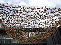 Flowers hanging over courtyard