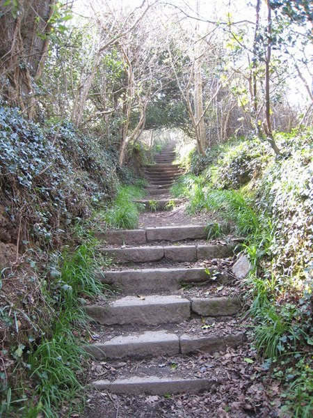 File:Steps leading up to Kenwyn cemetery from the Allen Valley - geograph.org.uk - 765803.jpg