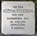 Růžena Federová, snacha