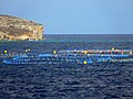 Tuna farm in the Fliegu ta' Malta