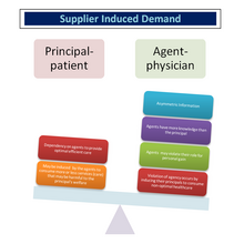 supplier induced demand in healthcare