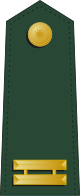 Taiwán-ejército-OF-1b.svg