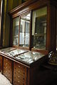 Teylers Fossil room II - cabinet 13.jpg