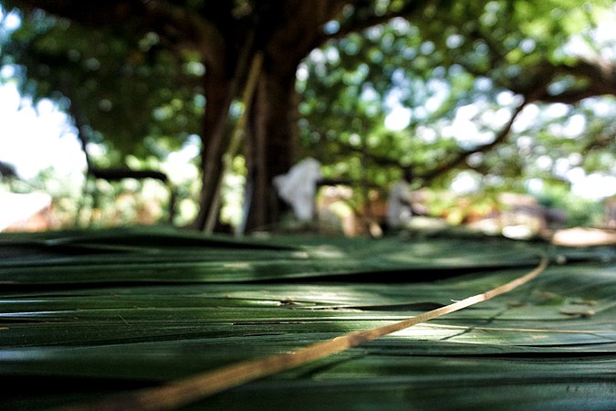 Sua loja, uma vez em sua casa, traz para ele lembranças de acontecimentos: de aventuras de infância; de partir e voltar; de sua falecida esposa, de perda. Lembranças que o fazem. E que, em um mundo acelerado, esta prática de manutenção é, para ele, o próprio meio pelo qual ele tem o tempo em suas mãos. O próprio meio através do qual ele guarda essas lembranças em um lugar de lembrança. O próprio meio através do qual ele as abriga.