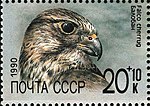 The Soviet Union 1990 CPA 6200 stamp (saker falcon).jpg