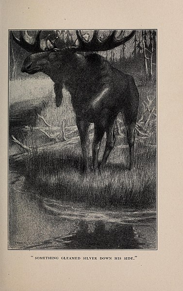 File:The house in the water- a book of animal stories (1908) (14763007724).jpg