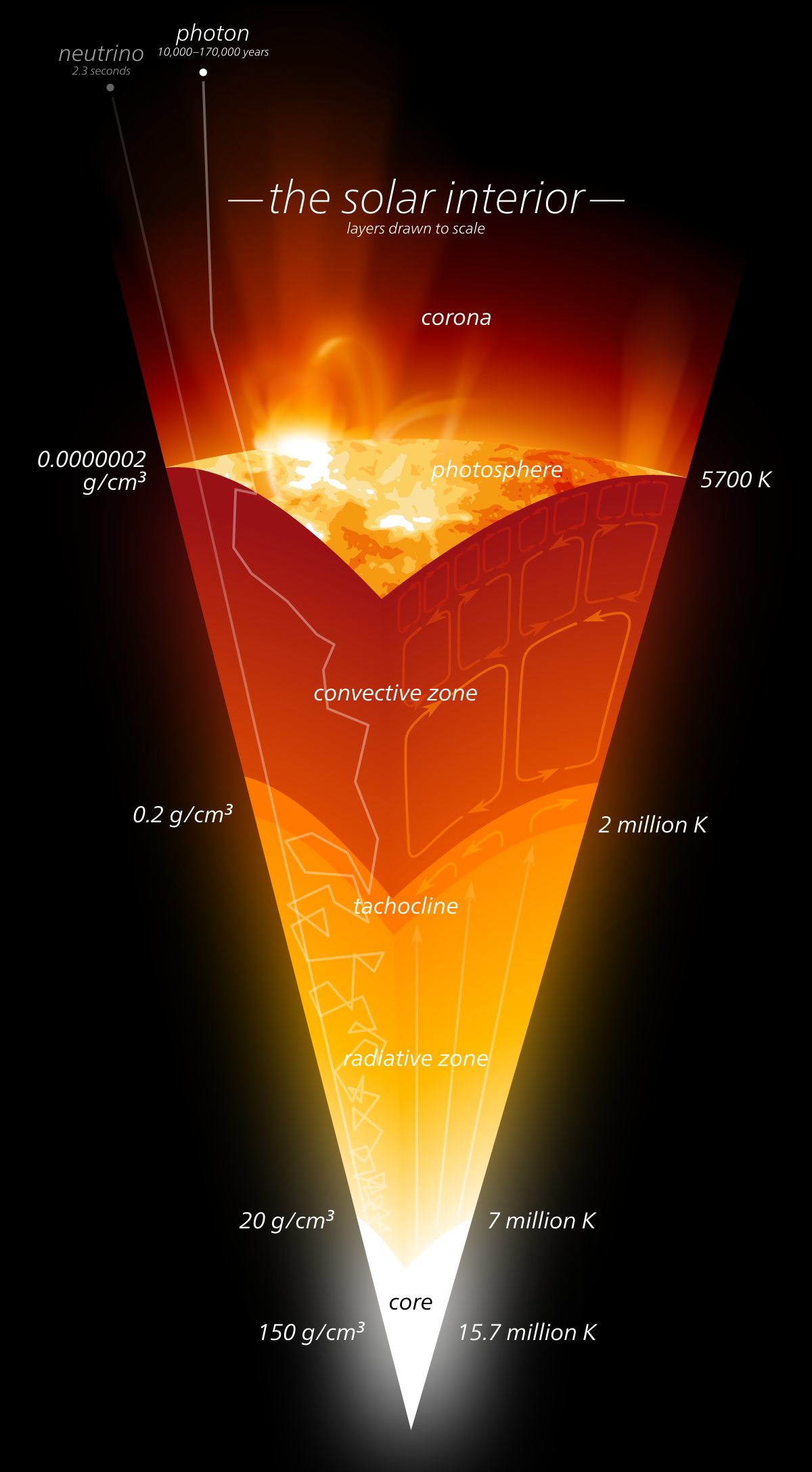 free Catalytic in