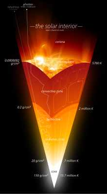 A wedge-shaped slice ranging from red at the top to white at the bottom