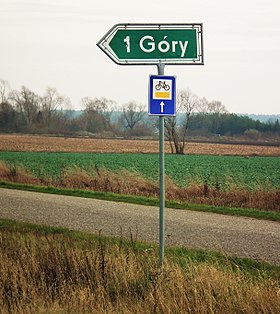 Góry (Słupca)