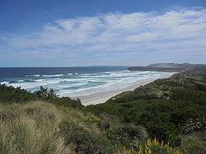 Beach - Wikipedia