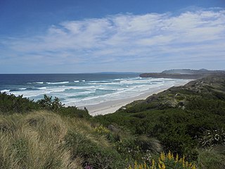 <span class="mw-page-title-main">Tomahawk Beach</span> Beach on the Pacific Ocean in Dunedin, New Zealand