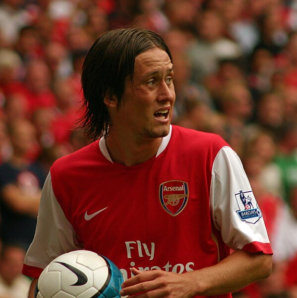 File:Tomas Rosicky 2007.jpg