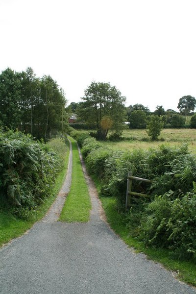 File:Two Lane Driveway. - geograph.org.uk - 533516.jpg