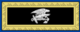 U.S. Navy captain rank insignia (1862-1864).png