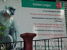 Island was home to the golden langur Umananda Island, Guwahati (56).jpg