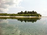 Thumbnail for Maldives–Lakshadweep–Chagos Archipelago tropical moist forests