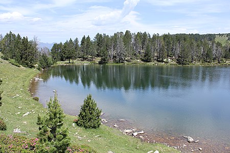 L'estany de la Nou.