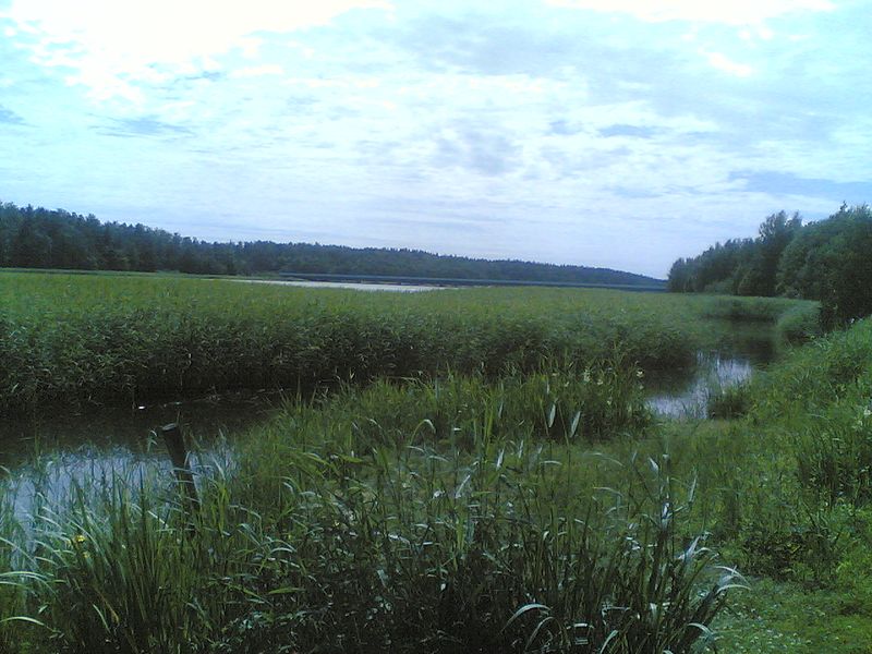 File:Vartiokylänlahti - panoramio (2).jpg