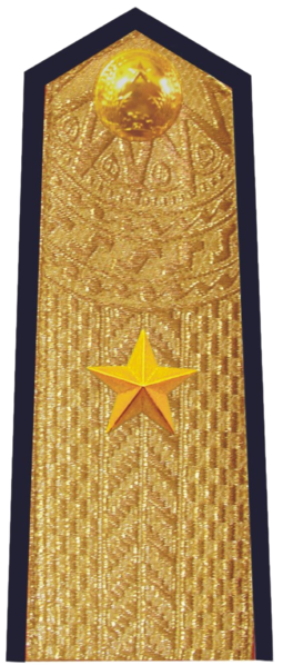 File:Vietnam People's Navy Rear Admiral.png