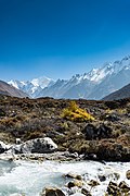 View of the Langtang mountain range from near Kyanjin Gompa by Sunny Shrestha