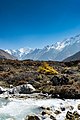 * Nomination: View of the Langtang mountain range from near Kyanjin Gompa. By User:Shresthasunny --Bijay chaurasia 11:58, 23 May 2017 (UTC) * Review {{s}} Nice and good--Lmbuga 19:31, 23 May 2017 (UTC)  Neutral Blown out areas. Too much sky (rule of thirds)--Lmbuga 19:35, 23 May 2017 (UTC) Imo you cannot disagree with yourself to send a nom to CR, resetting to Nomination for now. --DXR 20:47, 23 May 2017 (UTC) I agree with you, DXR. Review: The sky is blotchy with areas of posterized hues, and some of the white water may be a bit blown out, though festive. User:Shresthasunny, do you think you can fix those problems? -- Ikan Kekek 01:52, 24 May 2017 (UTC)