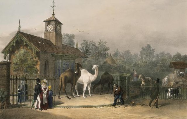 London Zoo, 1835