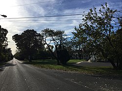 View south along Leeds Point Rd by Leeds Point Post Office, 2021-11-06.jpg