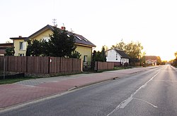 WRZOSÓWKA 02.jpg