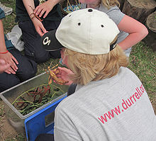 Outreach education in the community at the 2010 West Show