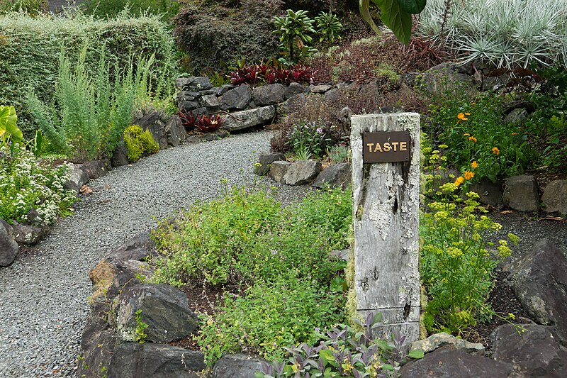 File:Whangarei Quarry Gardens - Taste.jpg
