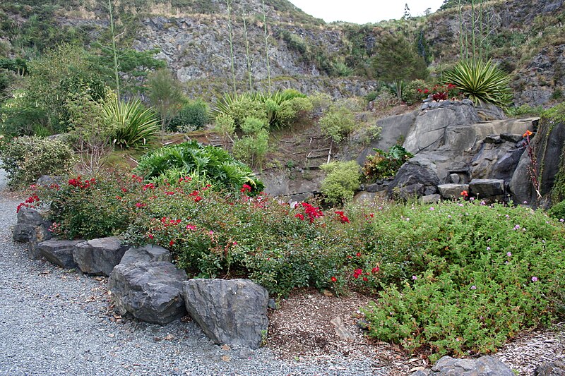 File:Whangarei Quarry Gardens 01.JPG