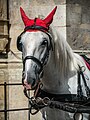 * Nomination Fiaker horse at St. Stephen's Cathedral in Vienna --Ermell 08:07, 25 January 2020 (UTC) * Promotion  Support Good quality. --Poco a poco 08:16, 25 January 2020 (UTC)